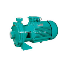 Pompe à eau centrifuge à double rotor Scm2 série à usage industriel
